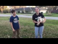 Broiler Chickens Choosing Your Show Pen