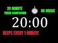 20 Minute Workout Countdown Timer with 1 Minute Interval Beeps NO MUSIC