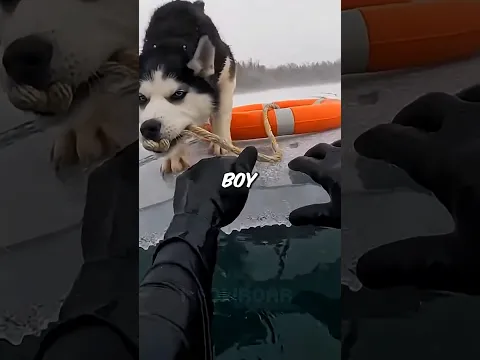 I Saved Him, Then He Saved Me... 😭❤️