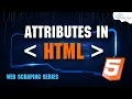 Attributes in HTML - Explained Web Scraping with Python Tutorial