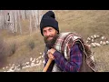 Lagu Marinel Ciobanasu' SINGUR într-un sat de munte IZOLAT | 18 câini ciobănești și oi BUCĂLĂI