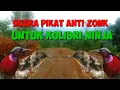 Download Lagu SUARA MP3 PIKAT BURUNG KONIN. KOLIBRI NINJA ANDALAN ( TUKANG PIKAT SERBA BISA.
