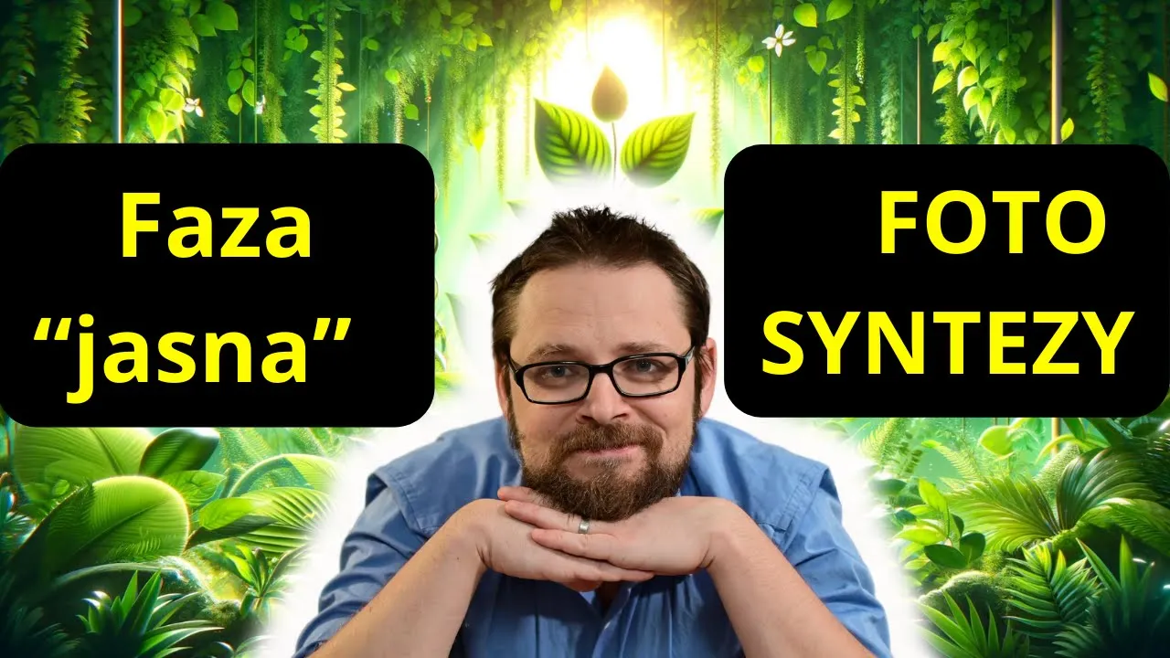 Fotosynteza | Siła asymilacyjna | Faza zależna od światła jasna | Fotoliza wody | Fotosystem I i II