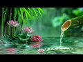 Download Lagu Ontspannende pianomuziek + slapeloosheid en genezing 🌿 Ontspannende muziek, slaapmuziek, meditatie,