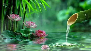 Relaxing Piano Music + Insomnia and Healing 🌿 Relaxing Music, Sleep Music, Meditation, Nature Sound