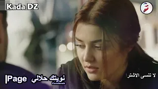 هذي شيرة قسمتلي قلبي   دندنها