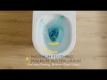 Hygiene Rim by American Standard