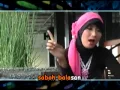 Download Lagu meubagi cinta