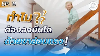 ขั้นตอนการฝึกขึ้นบันไดมีกี่ขั้นตอน และแต่ละขั้นตอนคืออะไร