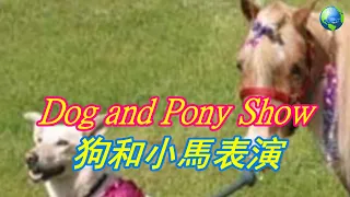 Download Dog and Pony Show狗和小馬表演 《Relaxing Music》 MP3