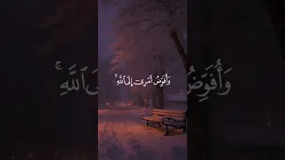فستذكرون ما أقول لكم وأفوض أمري إلى الله إن الله بصير بالعباد 