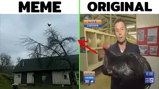                                            دندنها