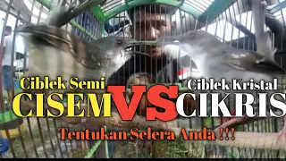 Download CIKRIS VS CISEM-  PERBEDAAN CIBLEK KRISTAL DAN CIBLEK SEMI MP3