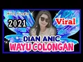 Download Lagu DIAN ANIC - WAYU COLONGAN