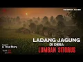 Download Lagu Ladang Jagung di Desa Lumban Sitorus