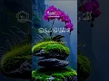 Download Lagu # Surat Ahazab