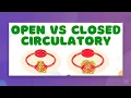 Animal Circulatory Systems Open vs Closed Circulatory