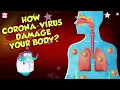 Download Lagu How Corona Virus Affects Your Body? | COVID-19 | The Dr Binocs Show | Peekaboo Kidz