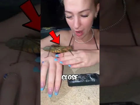 What’s REALLY Inside Grasshopper Up Close 🤯