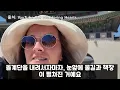 Seoul's Cheonggyecheon Is Going Viral Overseas! From The Guardian's Rave Reviews to Harvard's Att...