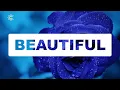 Cut Through Text Effect Using Pure CSS