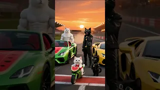 القط مياو ومشمش قرر يدخلو سباق خطير مع القطط الاشرار لاكن النهاية صدمه قطط Cat Funny 
