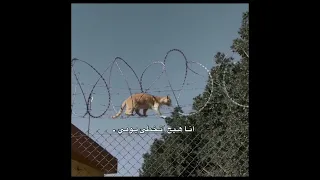 الحمد لله دائما و أبدا اللهم صل علي محمدﷺو آل محمدﷺو عجل فرجهم شيعة الإمام علي عليه السلام لايك 