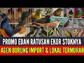 Download Lagu 🔴 BONGKAR LAGI RATUSAN EKOR STOKNYA ‼️ MASIH DIJALUR PROMO BELI 1 HRG GROSIR 0838-7553-6945
