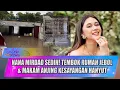 Download Lagu NANA MIRDAD SEDIH! TEMBOK RUMAH JEBOL \u0026 MAKAM ANJING KESAYANGAN HANYUT - SELEB ON NEWS
