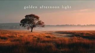 Golden Afternoon Light Piano Playlist 