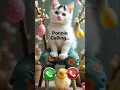 Download Lagu Ponnie calling 🤙🏻✨ #ringtone #calling #cat #cutecat #trending #youtube #youtubeshorts #viral #foryou