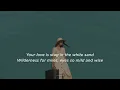 BEACH HOUSE - ZEBRA (LYRICS)