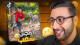 أمجنن شعب شفتو فحياتي... !! والموووووت ديال ضحك 🤣