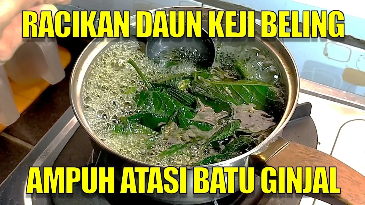 Buang Batu Ginjal Tanpa Bedah