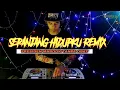 Download Lagu SEPANJANG HIDUPKU REMIX - PRESIDEN ANTI MABOOK