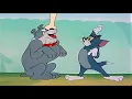 Download Lagu Tom and Jerry 2018   The Truce Hurts + The Truce Hurts   Cartoon For Kids