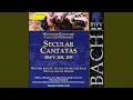 Download Lagu Was mir behagt, ist nur die muntre Jagd!, BWV 208, \