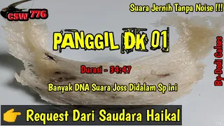 suara panggil walet panggil dk 01 by dodi calses karakter suaranya bikin walet bersahutan