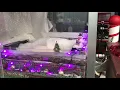 Revcor Christmas Decoration 2018 - Snowville Engineering