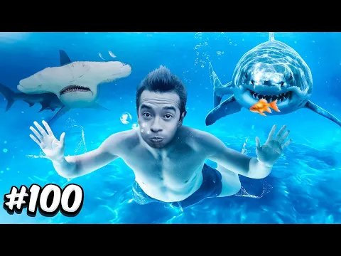 Estoy Entre 100 Peces - Sobreviviendo en Japón - Día 8