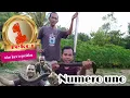 Lagu Rekor baru !!! Super babon || Belut bahenol || super big eel || ubed pemecah rekor