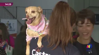 Agenda Cultural: confira os eventos do fim de semana