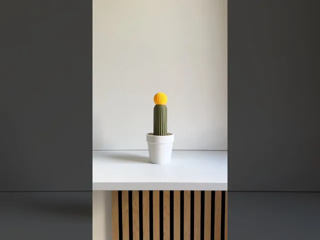 Catcus wand, cat wand. video thumbnail