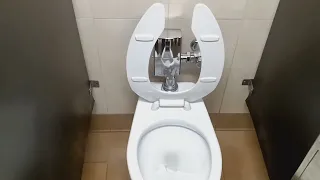 West 84th Street AMC Theatres toilets