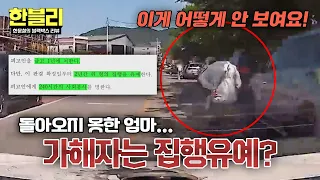 [한블리] 돌아오지 못한 엄마... 그런데 가해자는 집행유예?! 이해 불가한 판결💥 | 한블리 (한문철의 블랙박스 리뷰) 186회 | JTBC 260915 방송