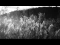 Extrawelt - 8000