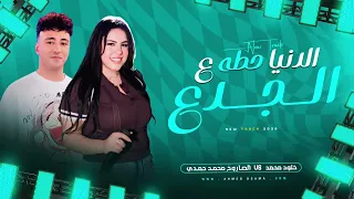 اغنيه الدنيا حطه ع الجدع   ترند التيك توك   خلود محمد   محمد حمدي   سلطنه وروقان      دندنها