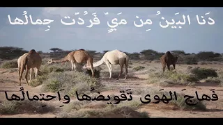 الشيخ ولد أب 