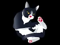 Kitty - CTF TryHackMe Blind Boolean Based SQL Injection