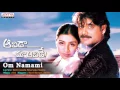 Om Namami Full Song  ll Aavida Maa Aavide Movie Songs ll Nagarjuna,Tabu, Heera
